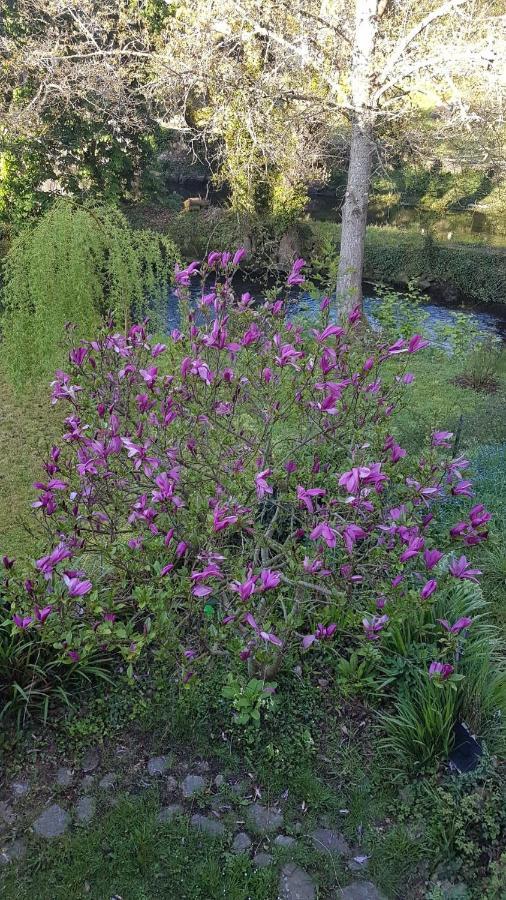 Appartement 2 Pieces Vue Sur La Riviere De L'Aven Et Le Bois D Amour Pont-Aven Εξωτερικό φωτογραφία